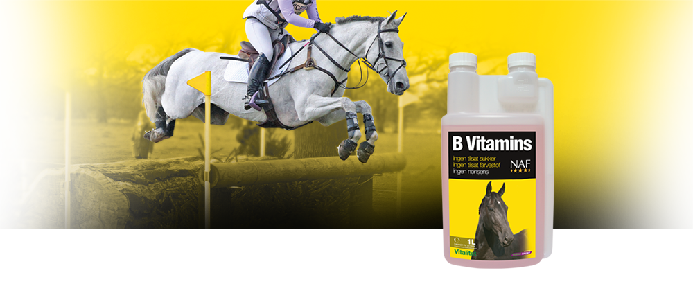 Ekstra b-vitaminer kan være gavnlige til mange heste, som arbejder hårdt, har en dårlig appetit eller mister gejsten om vinteren