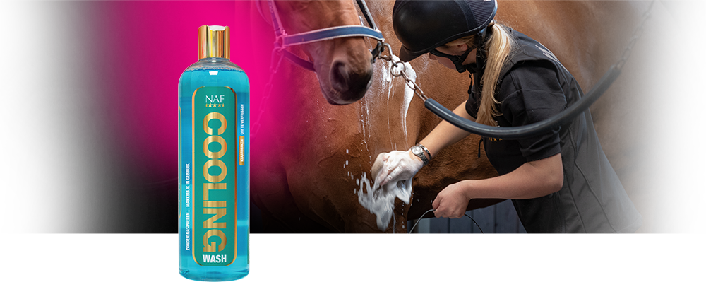 Vask det ophobede støv og sved ud af din hests pels med denne cooling wash