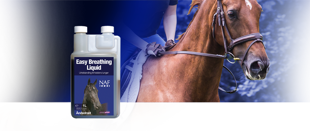 Åndedrætssystemet er under hårdt pres i et moderne hesteliv. Stalde, stråfoder og ridehaller kan alle indeholde støv og svampesporer, som kan ophobes i og irritere den følsomme hinde omkring lungerne og luftrøret