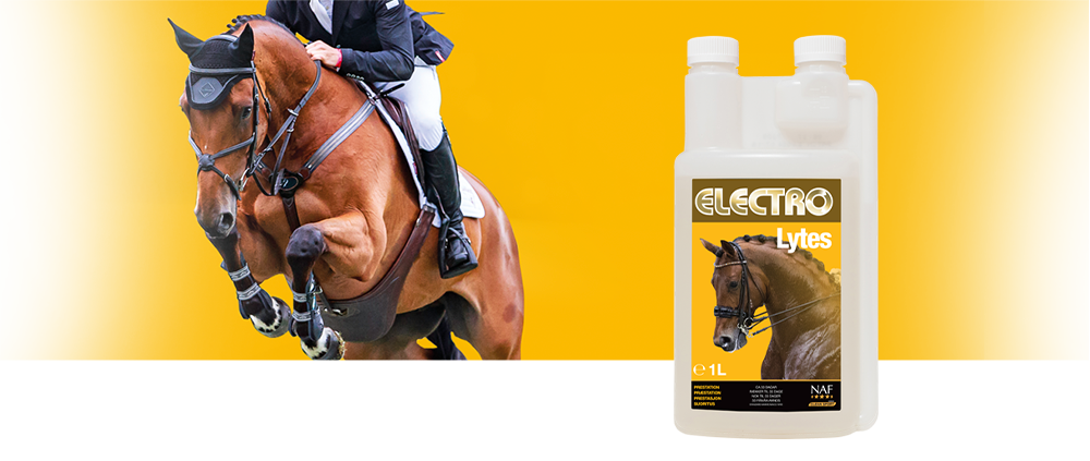 Flydende elektrolytter erstatter nødvendige salte, som kroppen udskiller, når hesten sveder på grund af varmt vejr og hård træning