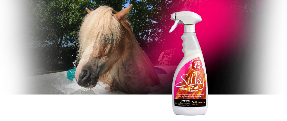En lækker spray, som hurtigt udfiltre hestens man og hale, og samtidigt efterlader dem glatte, bløde og skinnende