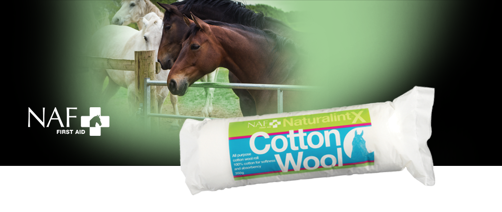 Den superbløde NaturalintX Cotton Wool Roll er lavet af 100 % naturlige bomundsfibre og absorberer derfor maksimalt.