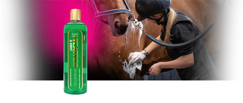 Denne shampoo indeholder tratree som er en naturlig antibakteriel ingrediens