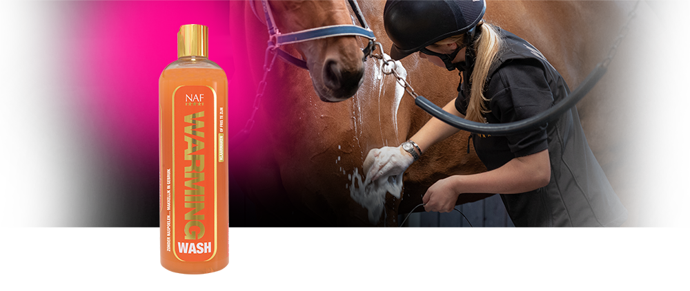 En varmende body wash, som indeholder ingefær og broget salvie, som varmer og renser din hest efter træning en kold dag