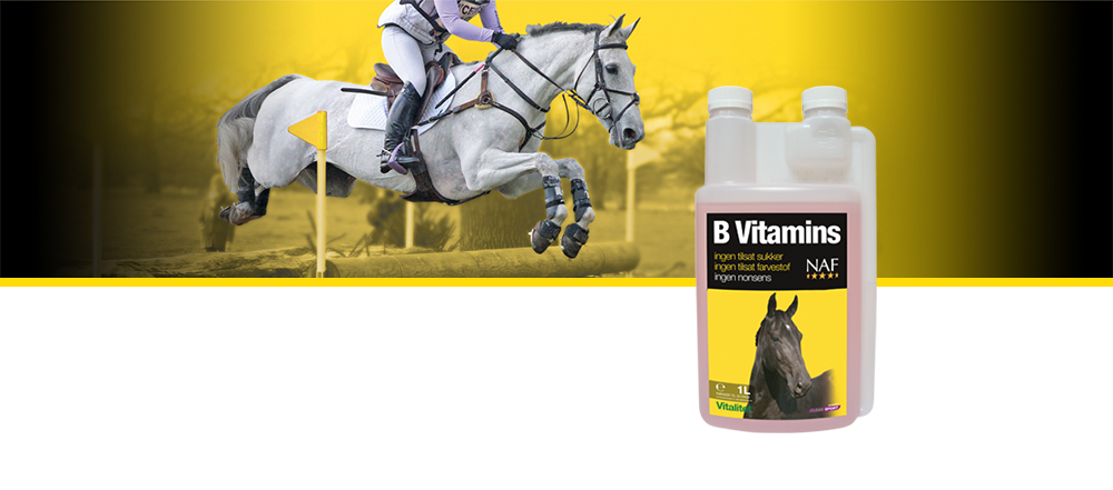 Ekstra b-vitaminer kan være gavnlige til mange heste, som arbejder hårdt, har en dårlig appetit eller mister gejsten om vinteren