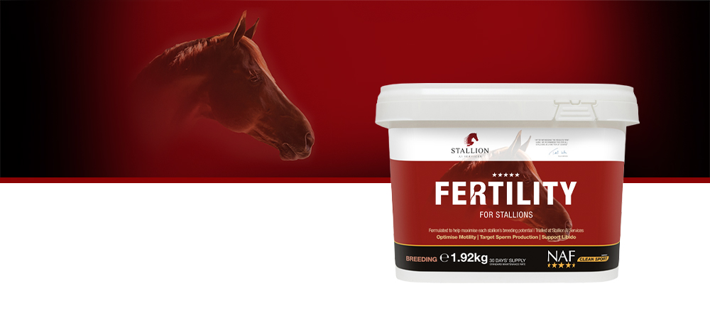 Hjælp den til at maksimere sit avlspotentiale med det innovative nutraceutiske tilskud Five Star Fertility for Stallions.