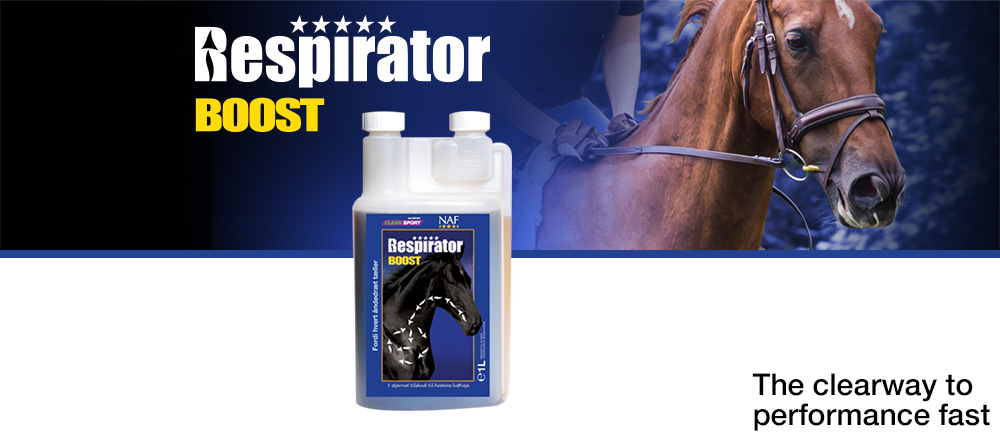 Respirator giver vigtig ernæringsmæssig støtte til hestens åndedrætssystem samt de delikate kapillære blodkar, der omgiver lungerne