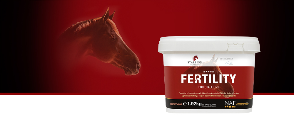 Hjælp den til at maksimere sit avlspotentiale med det innovative nutraceutiske tilskud Five Star Fertility for Stallions.