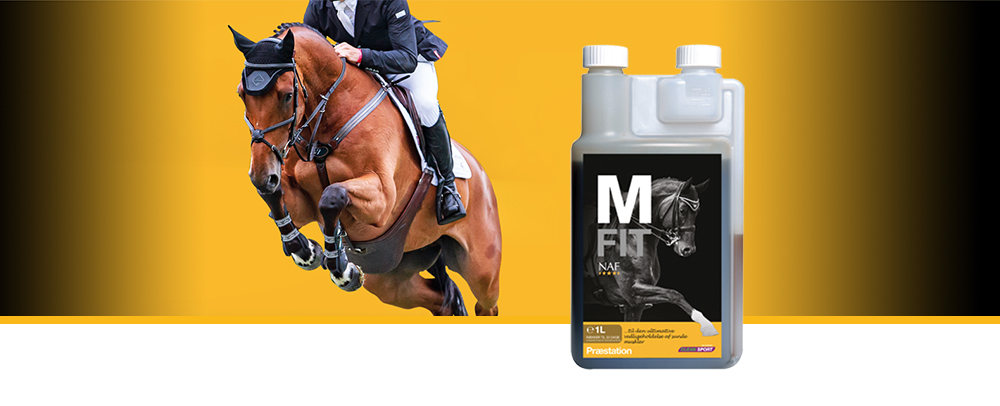For at styrke musklerne med mere end E-vitamin kan du føje M Fit til din hests daglige kost for at understøtte naturligt sunde muskler