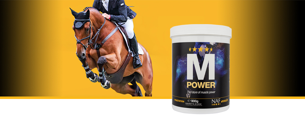 M Power er et førende kosttilskud til understøttelse af den naturlige, sunde udvikling af muskler og overlinje