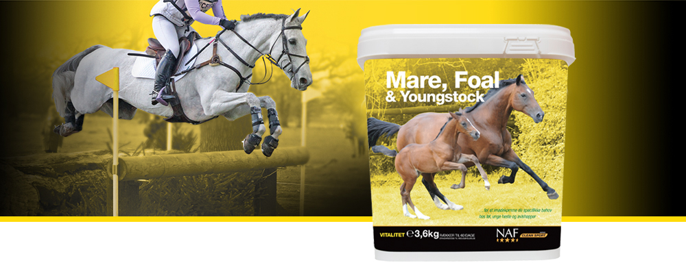 Mare, Foal & Youngstock er målrettet avlshopper og heste i vækst, hvor foderplanen skal balanceres med vitaminer og mineraler.