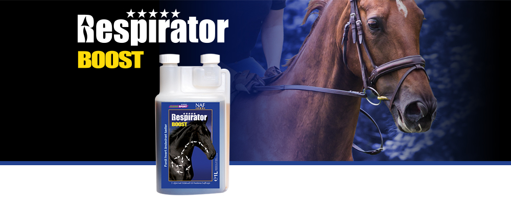 Respirator giver vigtig ernæringsmæssig støtte til hestens åndedrætssystem samt de delikate kapillære blodkar, der omgiver lungerne