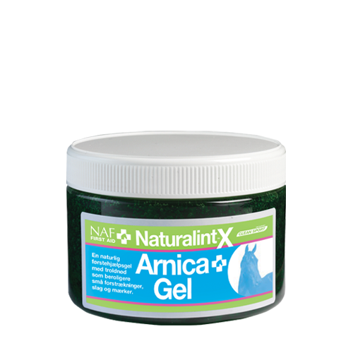 Arnica Gel