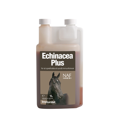 Echinacea Plus