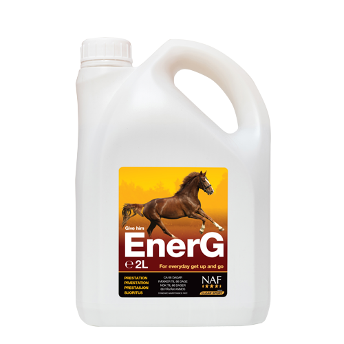 EnerG