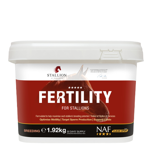 Fertility for Stallions