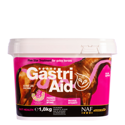 GastriAid