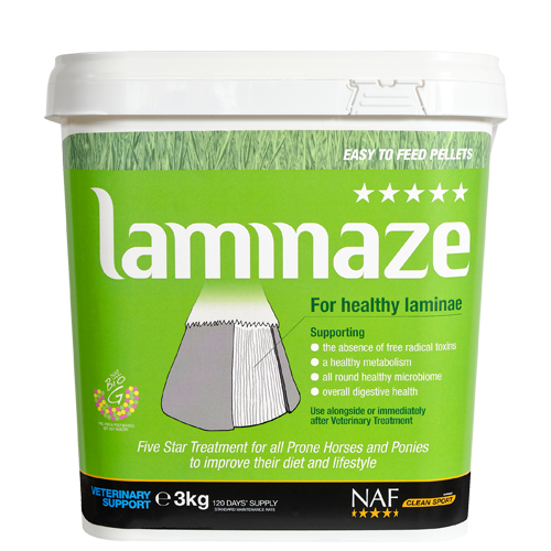 Laminaze Pellets