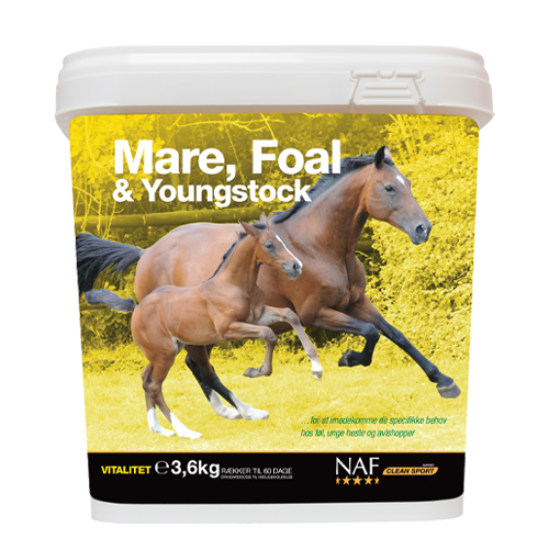 Mare, Foal & Youngstock