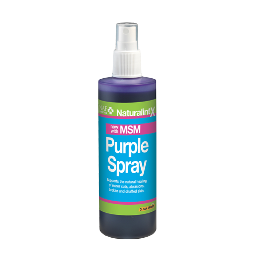 Naturalintx Purple Spray med MSM