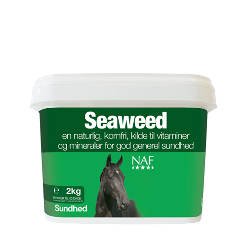 Seaweed