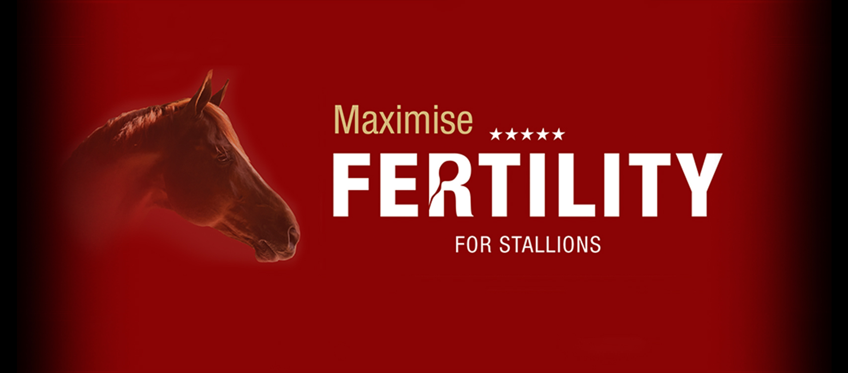 Breeding, formulated to help maximise each stallion’s breeding potential