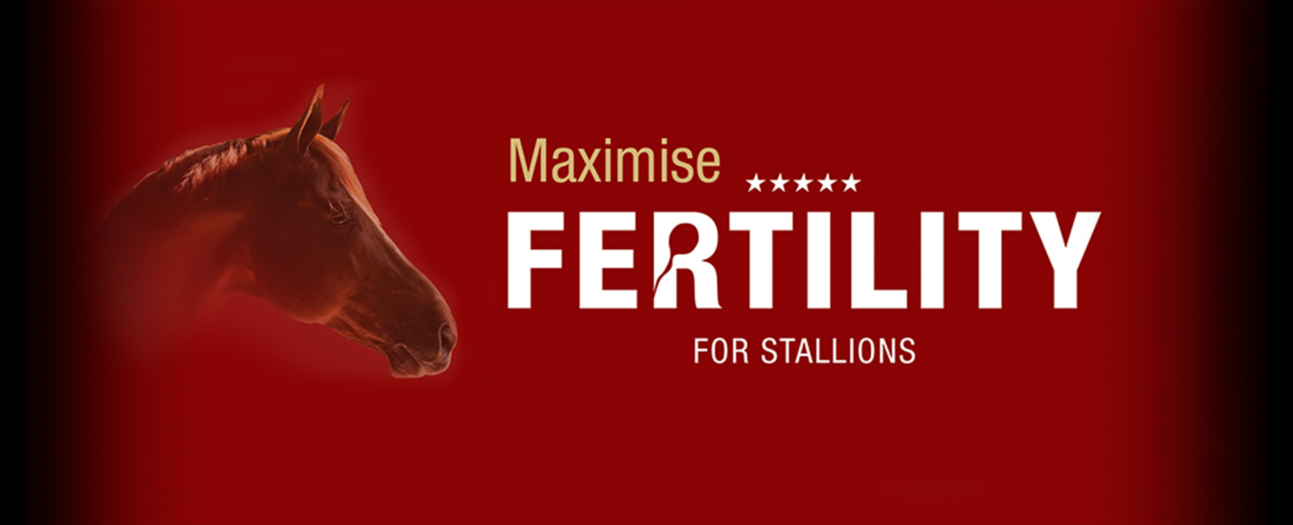 Breeding, formulated to help maximise each stallion’s breeding potential