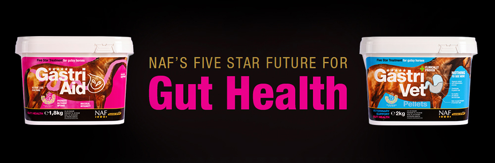 Gut Health