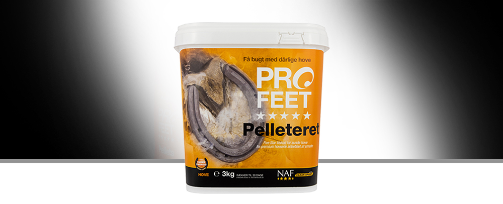 PROFEET