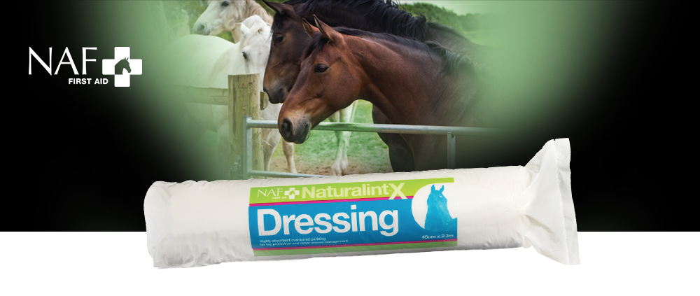 NaturalintX Dressing est un pansement très absorbant et non adhérent composé d'une couche épaisse de coton chirurgical,