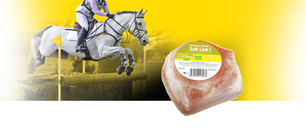 100% naturel, La forme la plus pure de sel que vous pouvez donner à votre cheval, Les chevaux et poneys ont besoin d'un complément de sel au quotidien