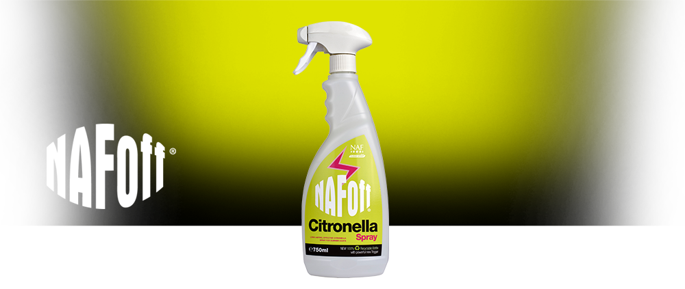 Spray durable et efficace à base de citronnelle pour les robes d'été