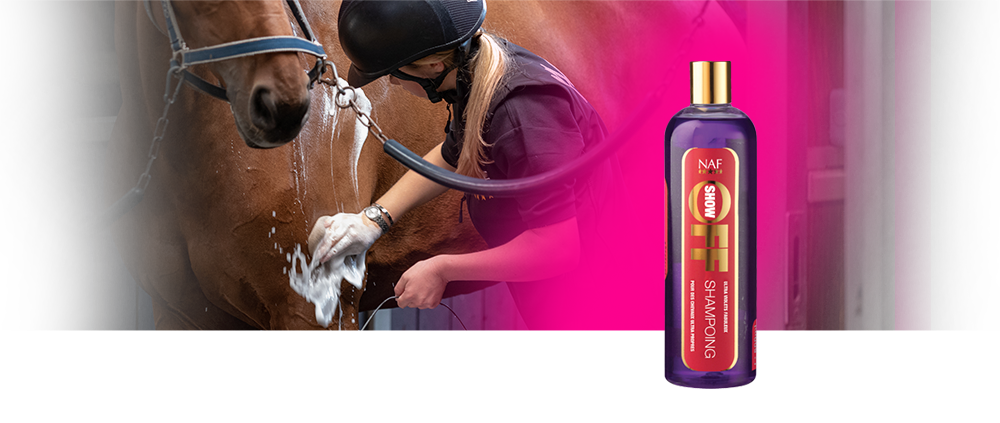 Nous avons créé ce fabuleux shampooing pour tous les chevaux et poneys sales qui aimeraient être propres et resplendissants