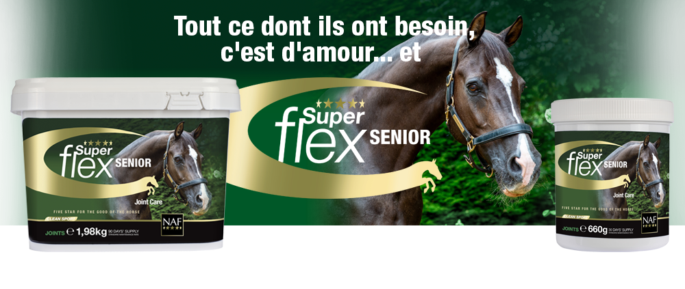 Superflex Senior est notre choix recommandé pour maintenir l'intégrité et la santé des articulations chez les chevaux et les poneys plus âgés.