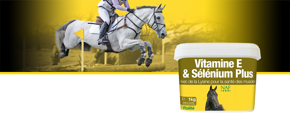 Vitamin E & Selenium Plus | Equine Supplements | Supplements for Horses
