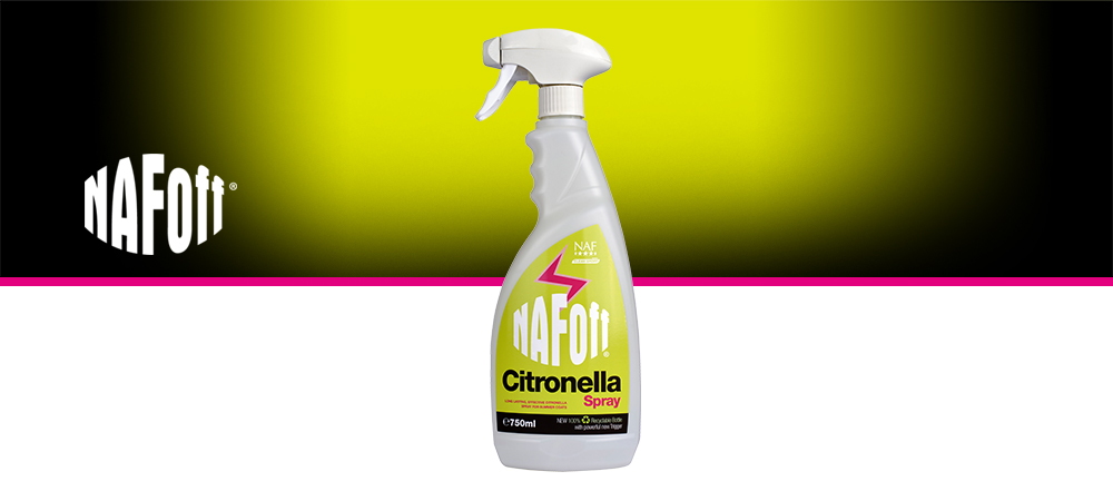 Spray durable et efficace à base de citronnelle pour les robes d'été