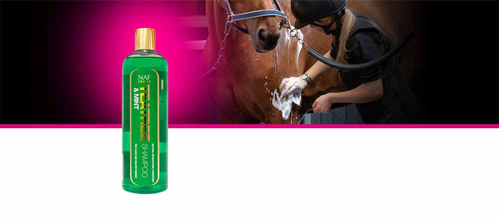 Pour tous les chevaux et poneys sales qui ont besoin de shampooings fréquents