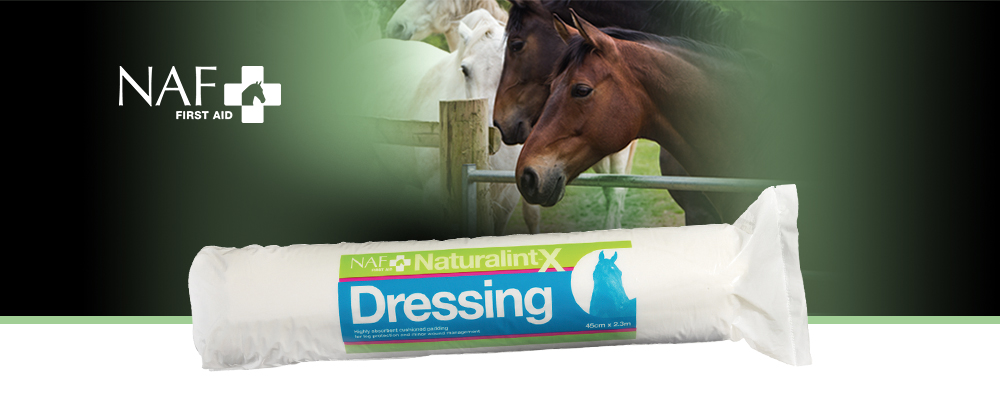 NaturalintX Dressing est un pansement très absorbant et non adhérent composé d'une couche épaisse de coton chirurgical,