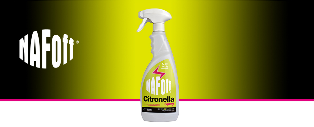 Spray durable et efficace à base de citronnelle pour les robes d'été