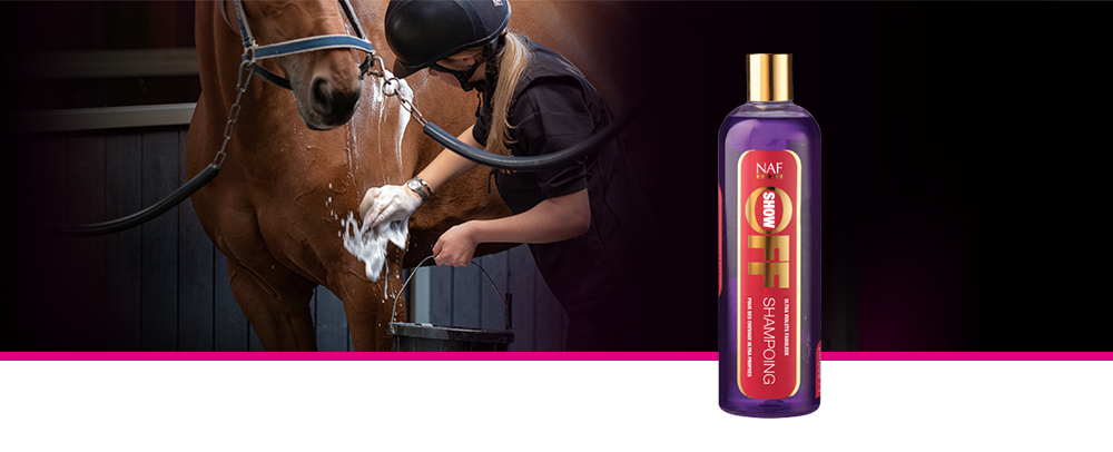 Nous avons créé ce fabuleux shampooing pour tous les chevaux et poneys sales qui aimeraient être propres et resplendissants