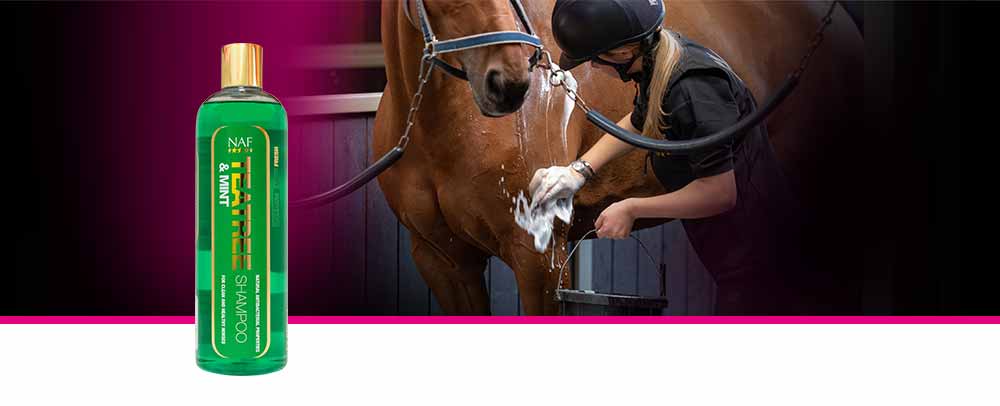 Pour tous les chevaux et poneys sales qui ont besoin de shampooings fréquents