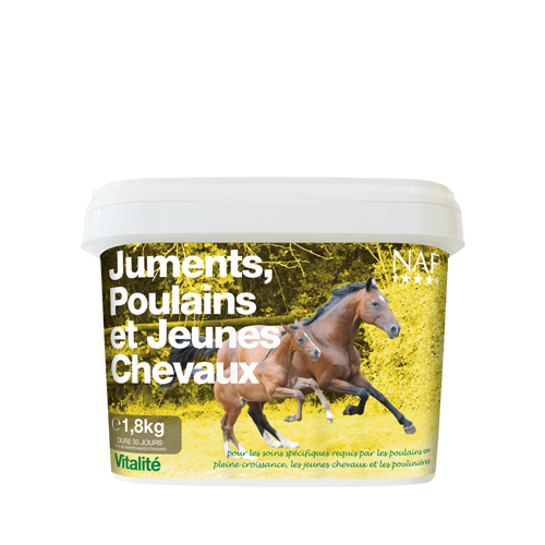 Juments Poulains et Jeunes Chevaux