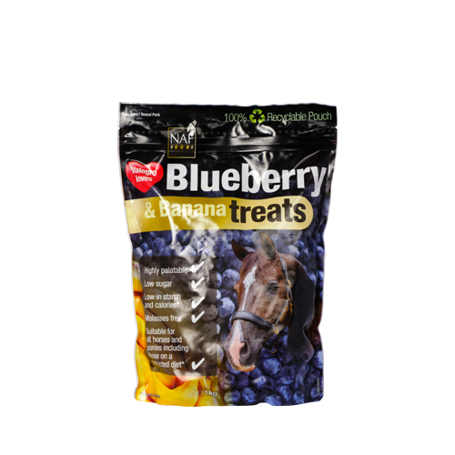 Blueberry & Banana Treats