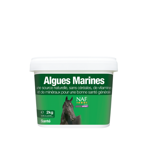 Algues Marines