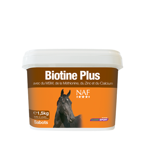 Biotine Plus