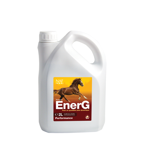 EnerG