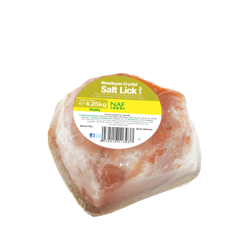 Himalayan Salt Licks