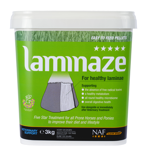 Laminaze Pellets