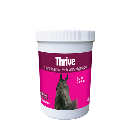 Digestion Equine Supplements Supplements for Horses