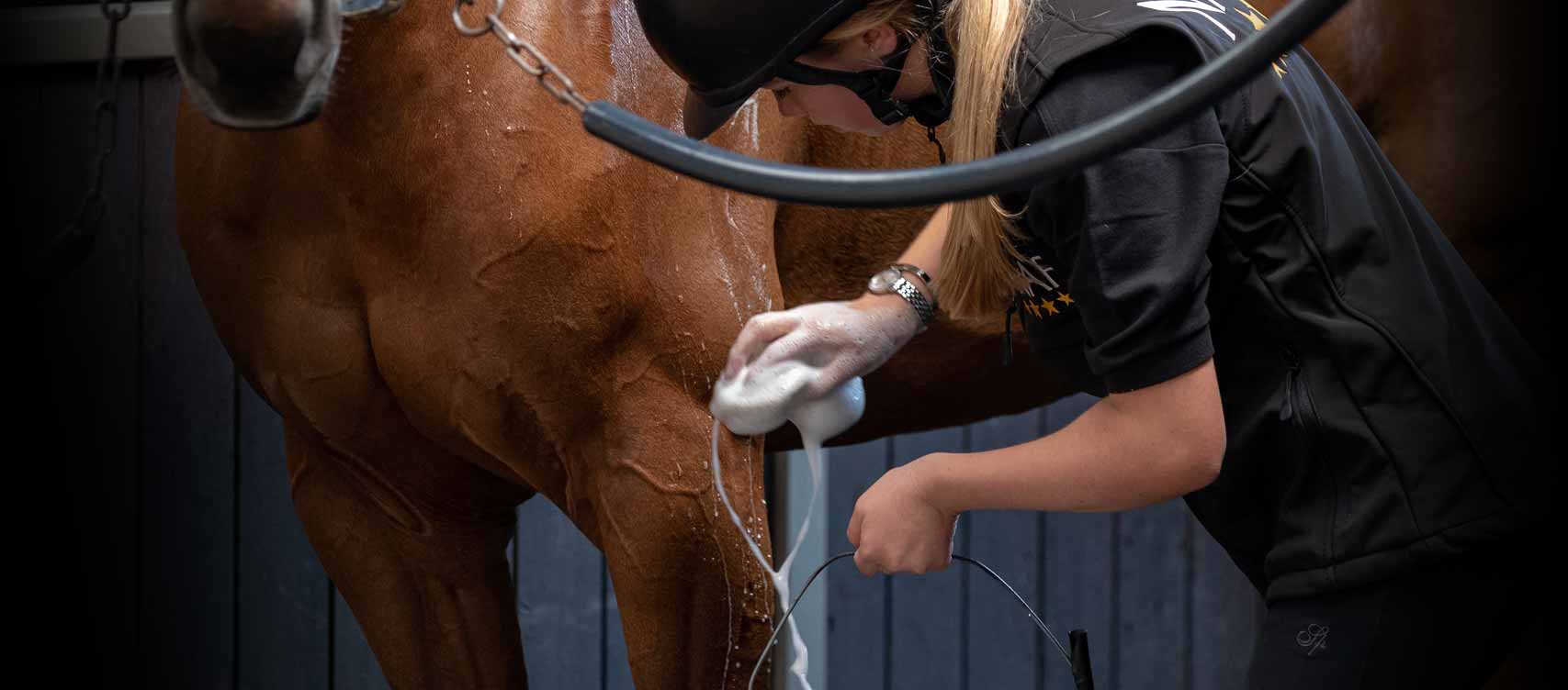 Our aim - is to offer you a product for your every need when it comes to turning out and caring for your horse.